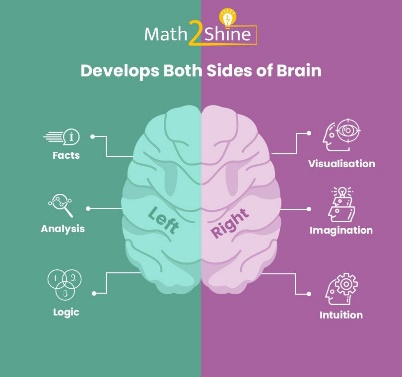 Develop both sides of brain through Math2Shine